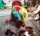 Seethamma idol vandalized in Vijayawada and police said being probed