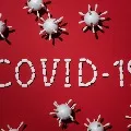 Over 55000 cases in India in 24 hours