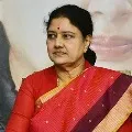 New lavish bungalow is under construction for Sasikala