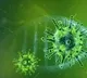 Corona virus impact on AP districts loosen
