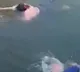 Britain Depolmat is hero in China