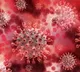 coronavirus new variant found in telangana and andhra pradesh