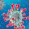 Over 48000 coronavirus cases in India in 24 hours