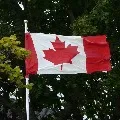 India engineers look at Canada with US ban on H1B visas