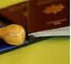 Woman forged husband passport and toured in Australia with her lover