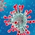 Coronavirus India 8380 coronavirus cases in India