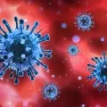 Maharashtra Government Order On Testing As 2nd Covid Wave Likely In January