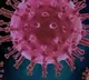 Harvard University researchers conducts a study on corona contamination