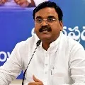 AP Deputy CM Amjad Basha infected to corona virus