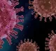 Changes in the genome of the corona virus and Increased ability to cause further infection
