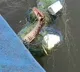 Huge Python gets trapped in fishing net
