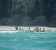 Corona virus pandemic rattles Andaman islands