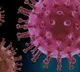Corona virus gradually downs in Andhra Pradesh