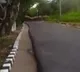 Elephants spotted at Tirumala ghat road