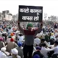 Will shut malls and petrol pumps if Jan 4 talks fail warn farmers