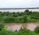 River Godavari flows Over Danger level