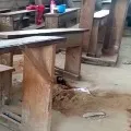 Attack on Camaron School 8 childrens Died