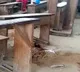 Attack on Camaron School 8 childrens Died