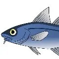 china finds corona in indian fishes