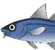 china finds corona in indian fishes