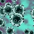 Corona virus not came from China says a Study