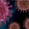 Sixty people tested corona positive in Andhra Pradesh