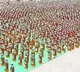 BJP leader caught with illegal liquor transportation