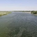 River Yamuna Cleaned Itself In 60 Days