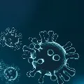 coronavirus cases in ap