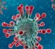 Corona virus is weakening says a study