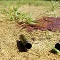 Four maoists killed in a encounter in Odisha