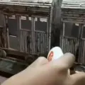 a captivating train model using newspapers