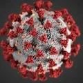 It seems to be slight decline of corona positive cases in AP