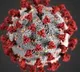 It seems to be slight decline of corona positive cases in AP