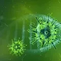 Corona virus symptoms