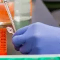 44059 new COVID19 infections in India