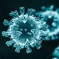 AP government to conduct RT PCR tests for UK returned people