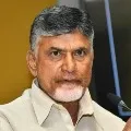 Chandrababu condemns Akbaruddin Owaisi comments
