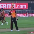 Sunrisers Hyderabad won the toss and elected bowl first in crucial match