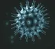 Seventy new cases identify in AP