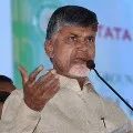 Chandrababu questions YSRCP leaders in two bills