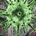 Coronavirus Over 14000 deaths in India