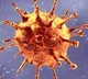 Covid 19 New variant raises R number