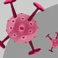 new 593 COVID19 infections in ts