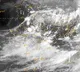 Low pressure area has been formed in Bay of Bengal