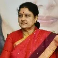 Sasikala says AIADMK is her own party