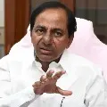 Dessions After Cabinet Meeting in Telangana