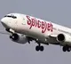 Spice jet offers special services on sankranti eve