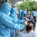 Youth Suffering from dengue and corona same time