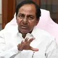 KCR Sugestions on Buses